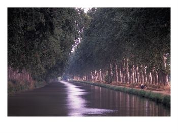 Canal du Midi, Herault, Languedoc, France