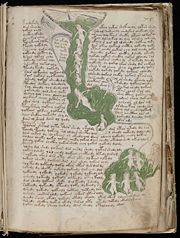 The "biological" section of the manuscript has dense text and illustrations showing nude women bathing.