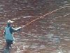 Fishing.
