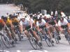 Cyclists.