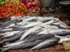 Languedoc Food Specialities: Fish.