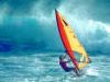 Windsurfer