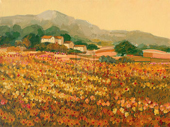 Afternoon Sun, Languedoc