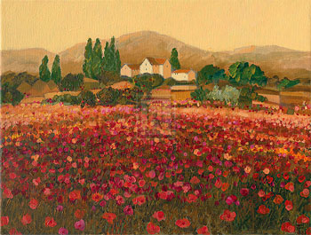 Evening Light, Languedoc