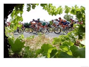 Riders are Seen Through Vineyards as the Pack Pedals Outside Beziers