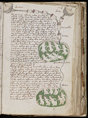 The illustrations in the "biological" section are linked by a network of pipes.